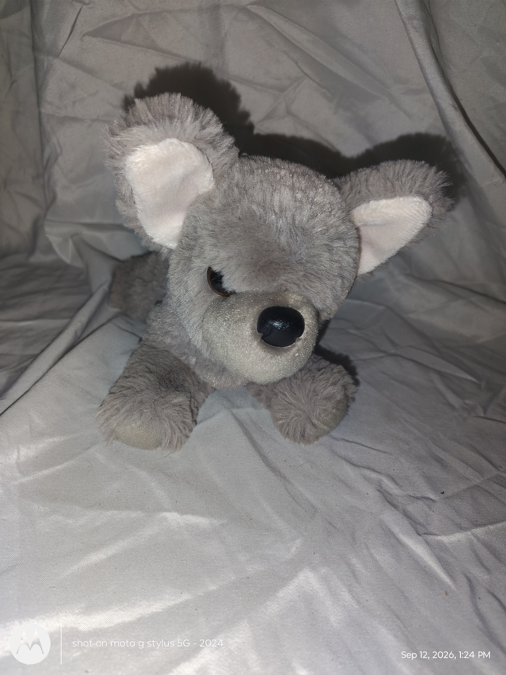Douglas Gabbie French bulldog Gray White Beige Dog Stuffed Animal Small 6-14 in